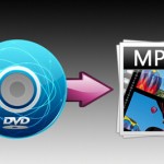 commerical dvd copy software reviews